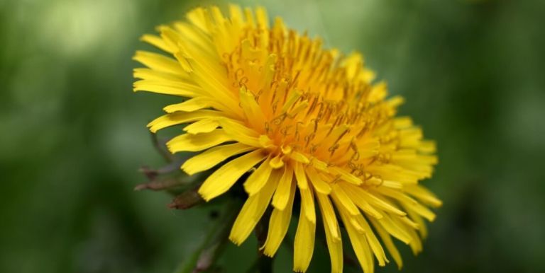 dmitry-tulupov-htm3AoUb5dU-unsplash-scaled_1115x560_acf_cropped.jpg