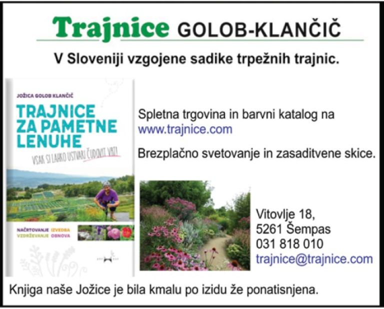 trajnice golob-klancic.jpg
