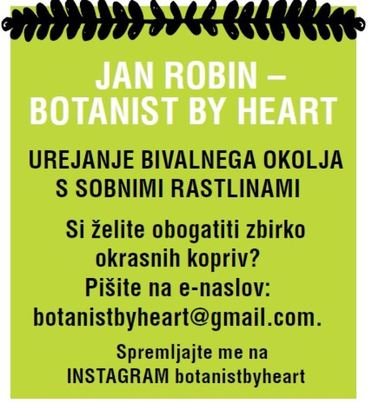 jan robin vizitka.jpg