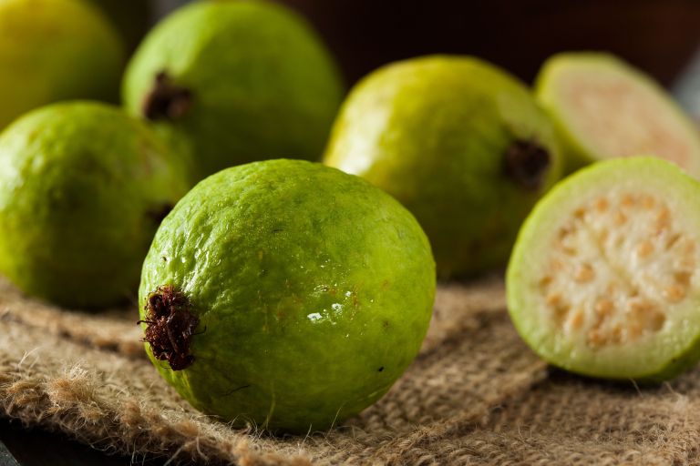 guava .jpg
