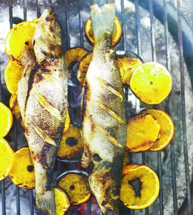 Brancin s citrusi