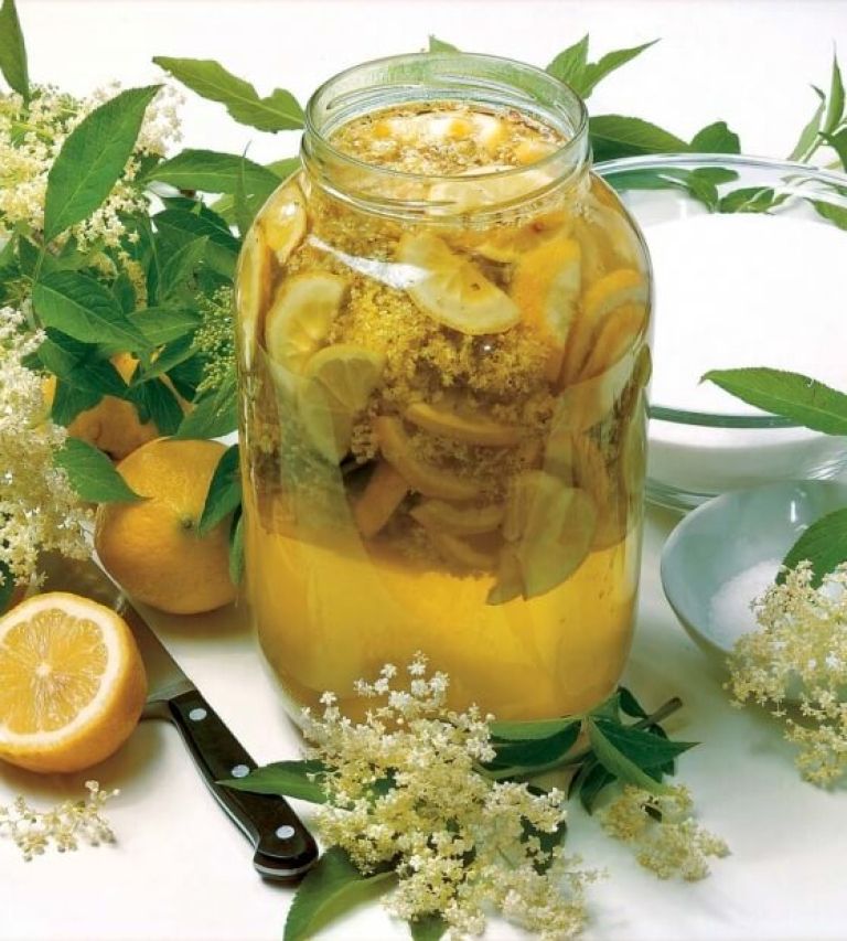 Bezgov sirup