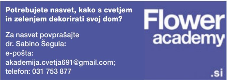 sabina šegula potrebujete nasvet.jpg