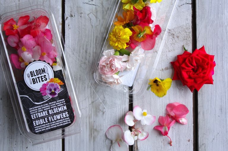 ZR maj 19 - tema meseca BLOOMBITES.jpg