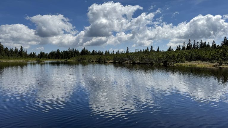 Ribniško jezero 2