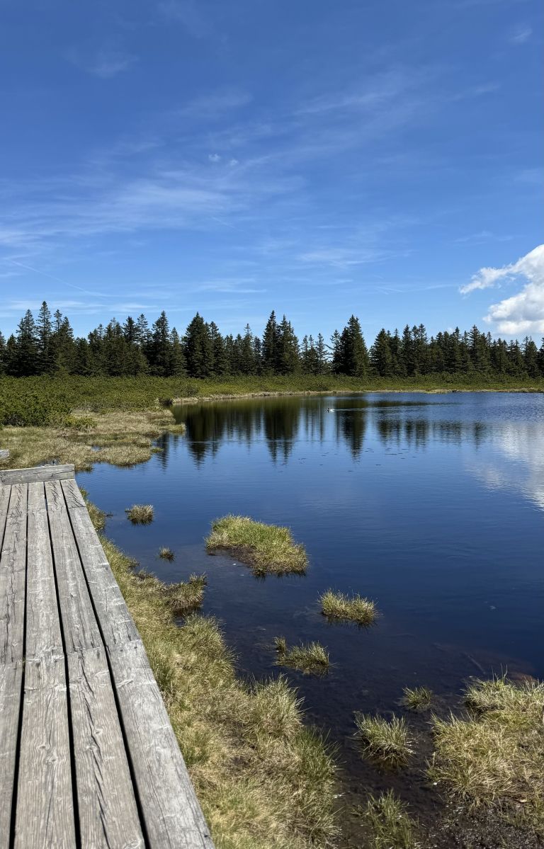 Ribniško jezero 5