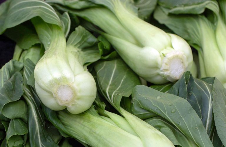 pak-choi