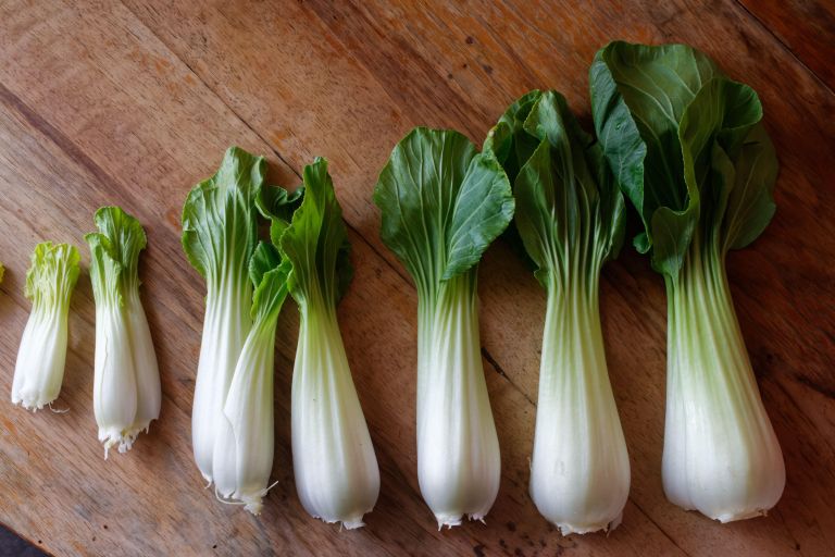 pak-choi