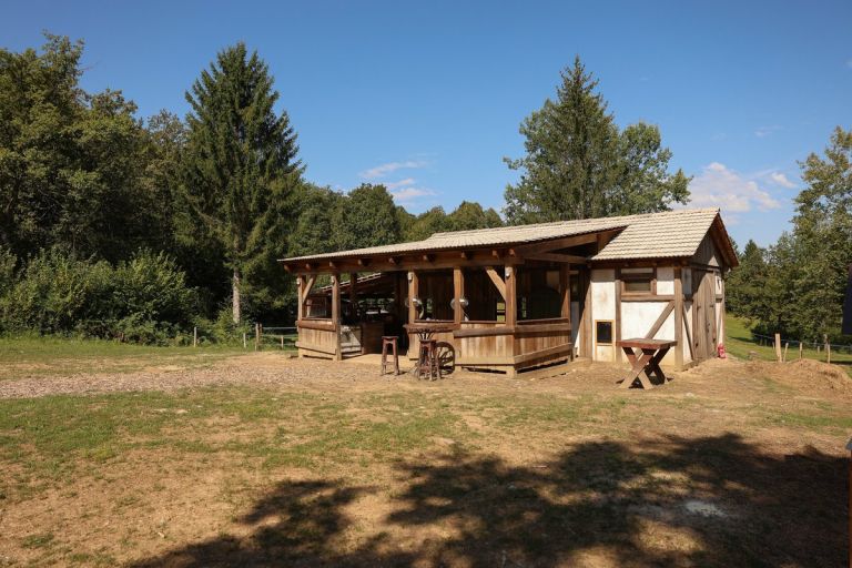 farma, kmetija