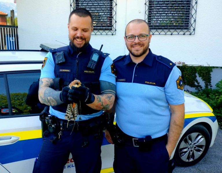 policista, postovka.jpg