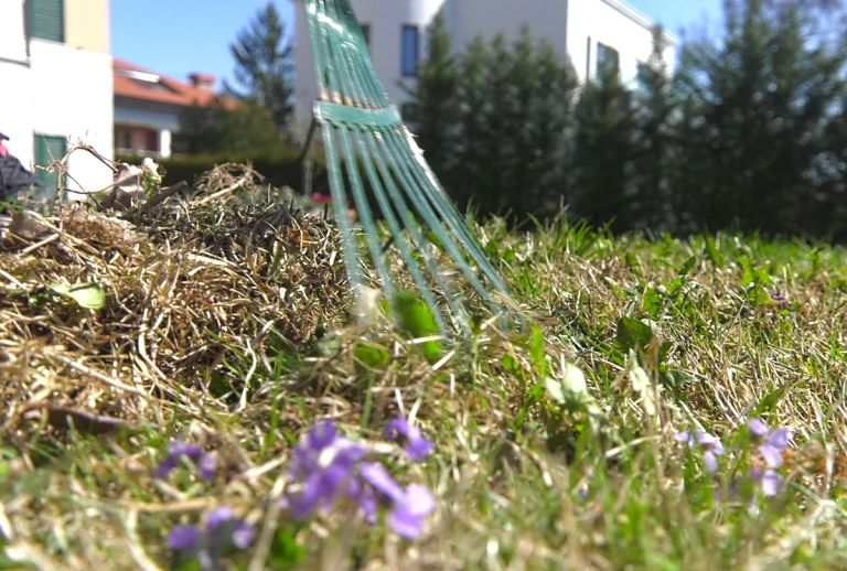 Plantella1-maj25.jpg