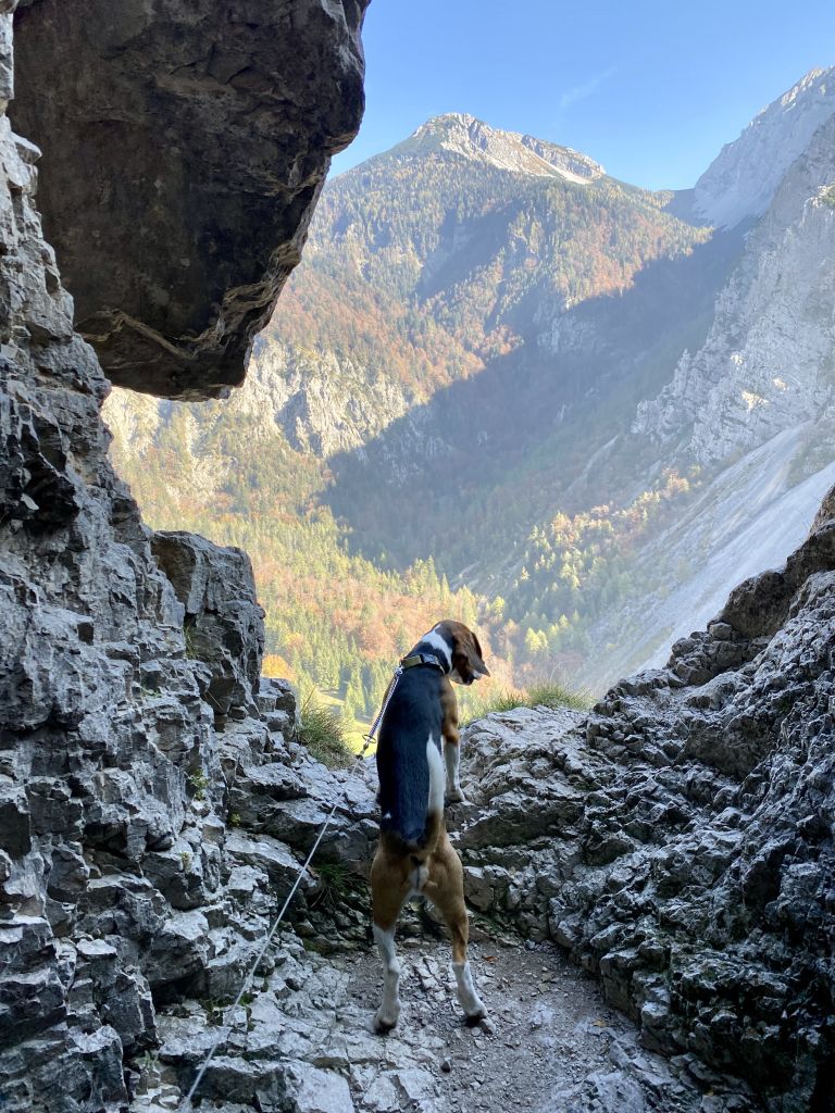 Planina Prevala, Bornov tunel