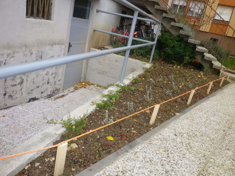 NPV6-maj24.JPG