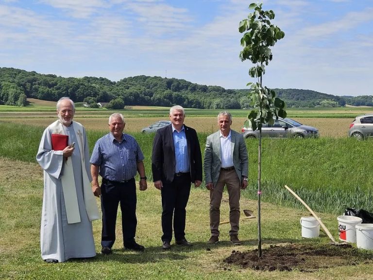 blagoslov, granfolov-kriz, kokorici