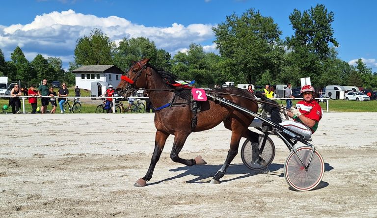 kasaske-dirke, hipodrom-stozice, ljubljana, kasaski-klub-ljutomer