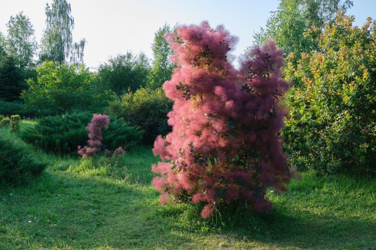 TM5-maj23.jpg