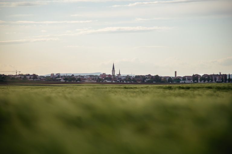 simbolična, murska-sobota, pomurje, prekmurje, polje, njiva