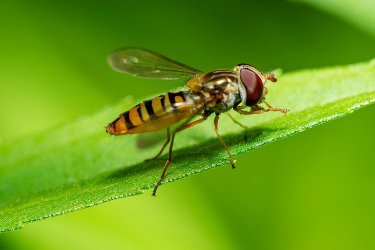 Biodinamika3-maj23.jpg
