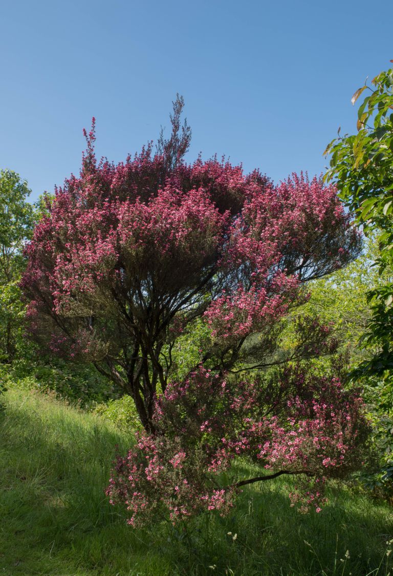 PP3-maj23.jpg