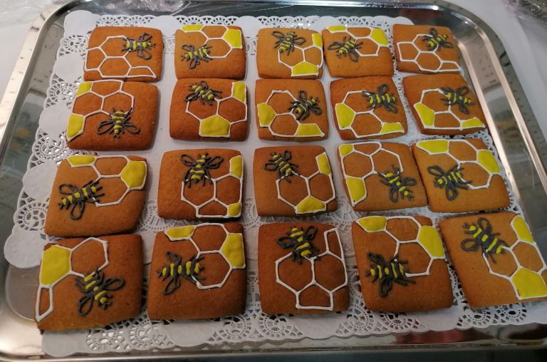 med, cebela, razstava, bela-cerkev
