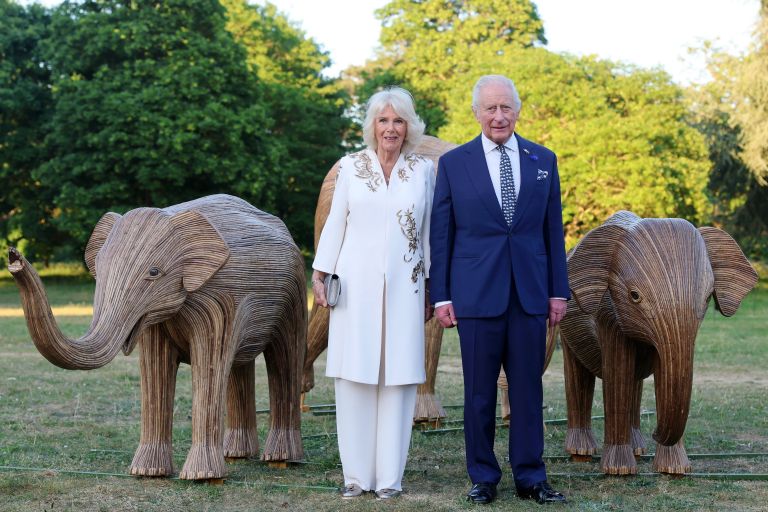 bela 2 - camilla.jpg