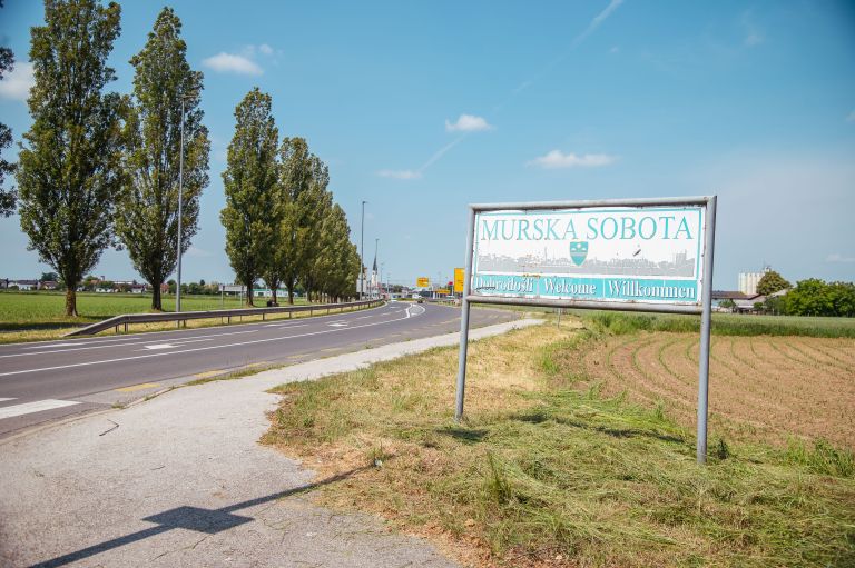 simbolična, drevored-rakičan, topoli, rakičanski, drevesa