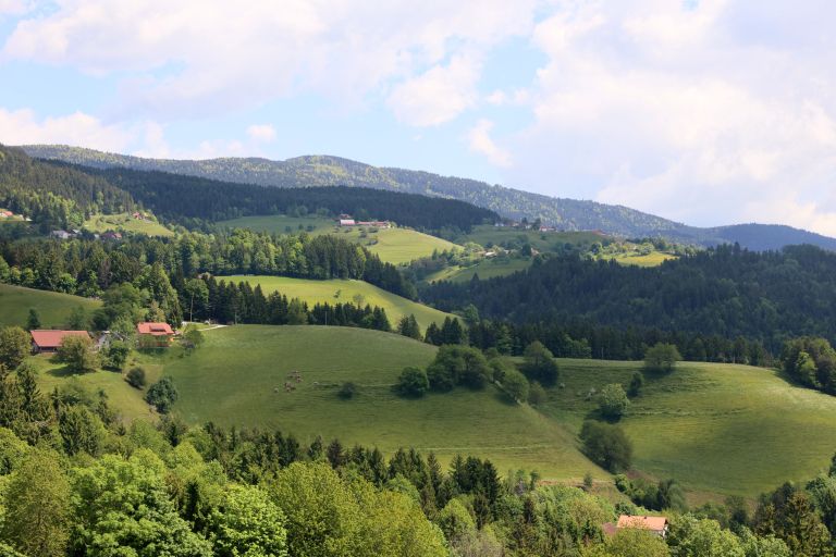 zresko pohorje 4.jpg