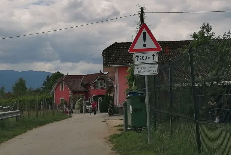 potepuski-psi, sentjernej