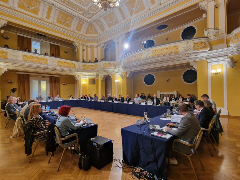 Mestni svet Mestne občine Celje