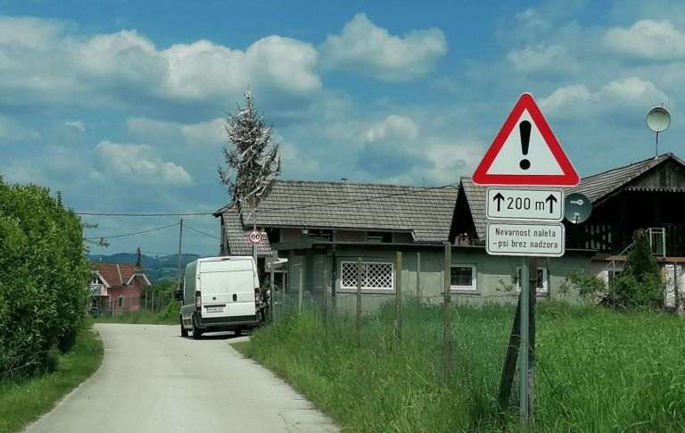 potepuski-psi, sentjernej