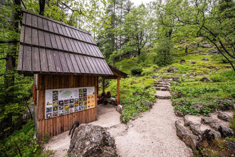 alpski-botanicni-vrt-juliana
