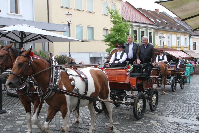 53-teden-cvicka, vinogradniska-povorka