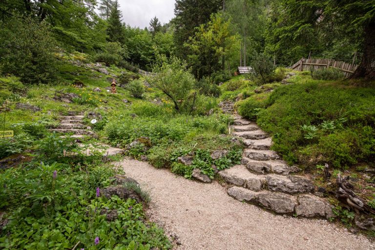 alpski-botanicni-vrt-juliana