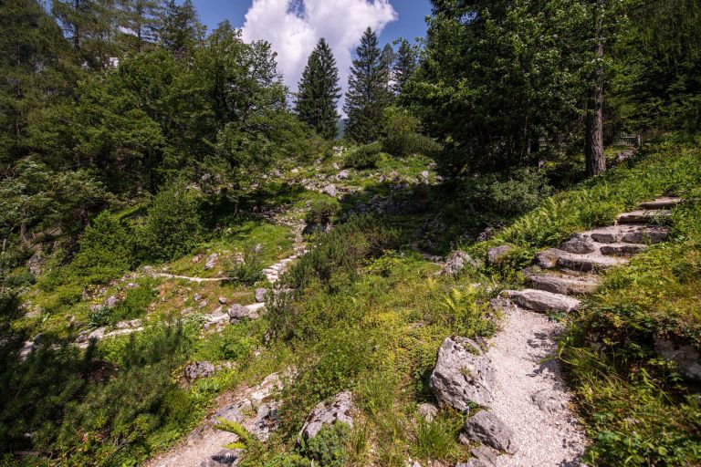alpski-botanicni-vrt-juliana