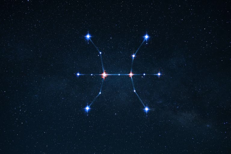 horoskop, ribi