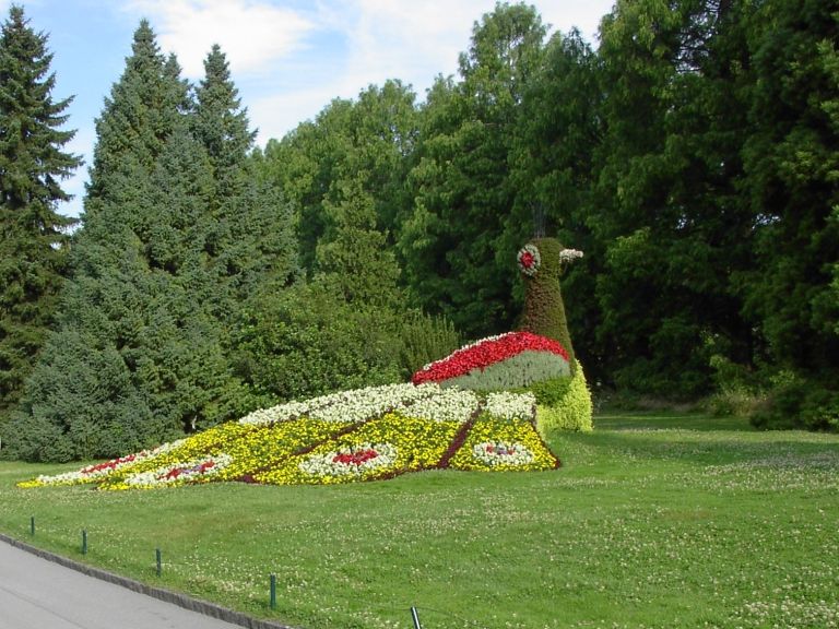 nepogresljive9-jun22.JPG