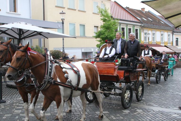 teden cvicka povorka.jpeg