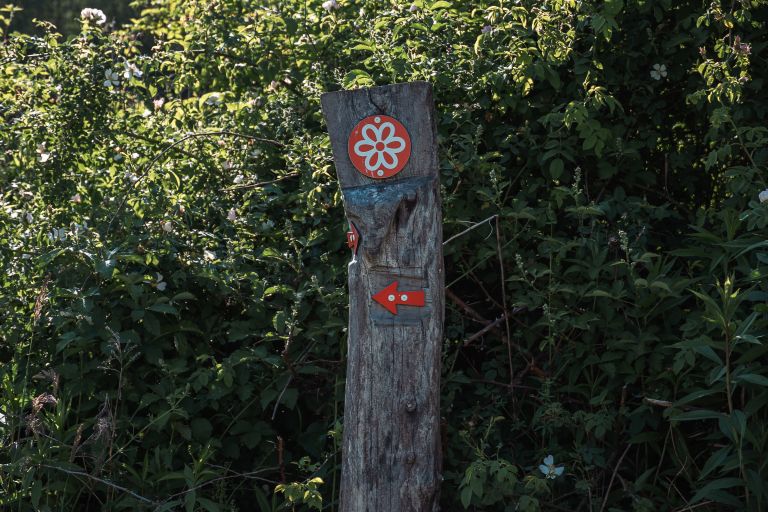 gorička-krajina, javni-zavod-krajinski-park-goričko, tematska-pot-cvetočih-travnikov