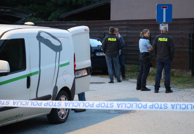 miklavz, napad psov