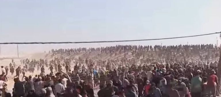 palestina gaza.jpeg