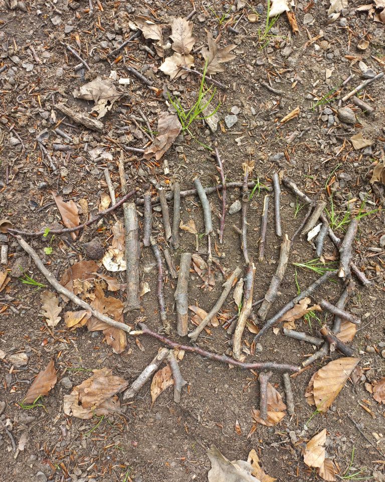 osnovna-sola-kapela, gozdna-pedagogika