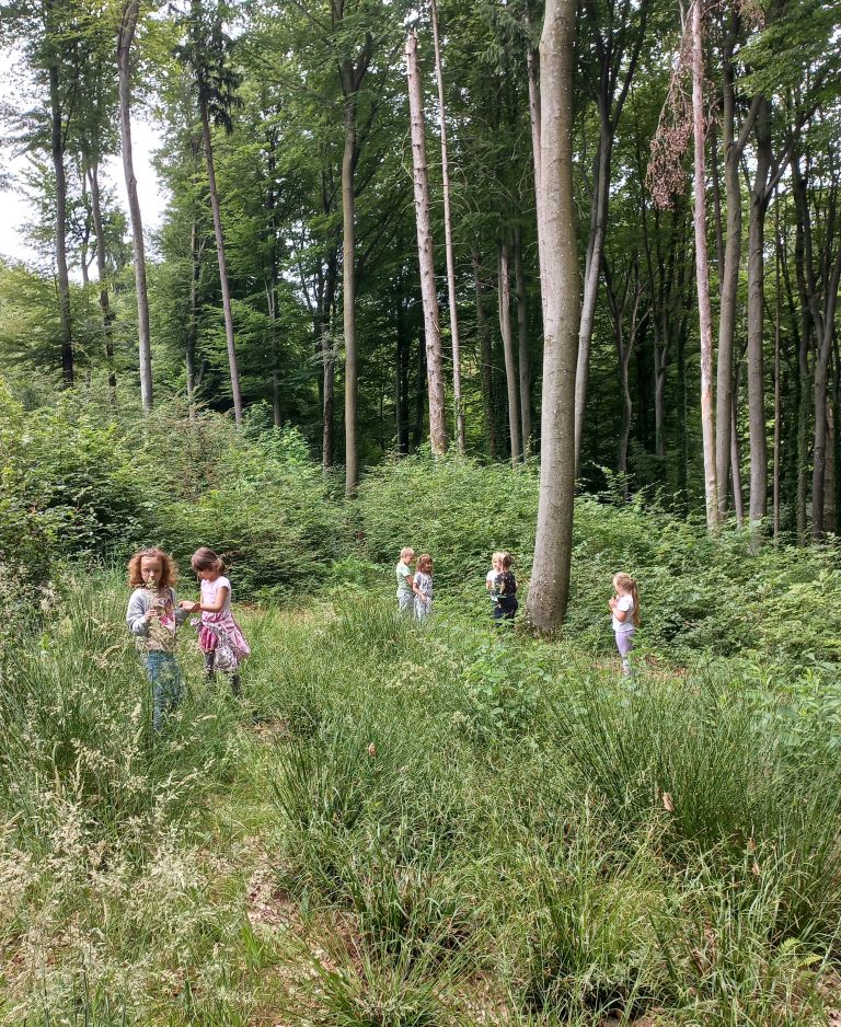 osnovna-sola-kapela, gozdna-pedagogika