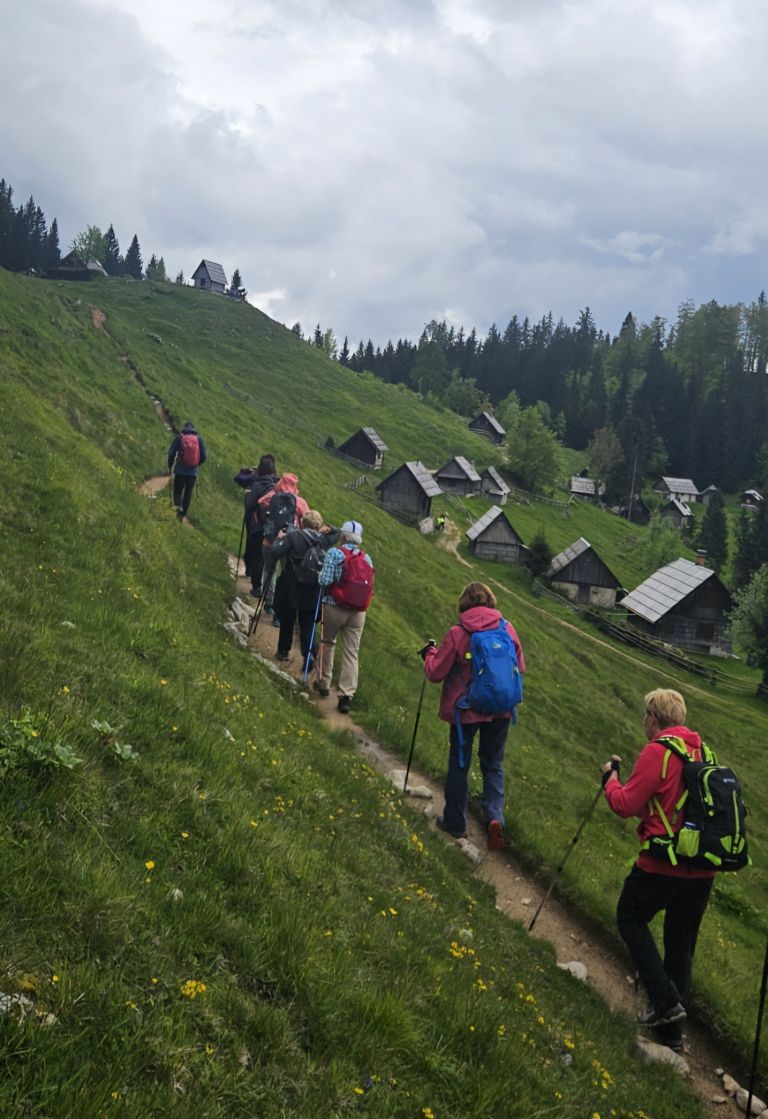 pokljuka