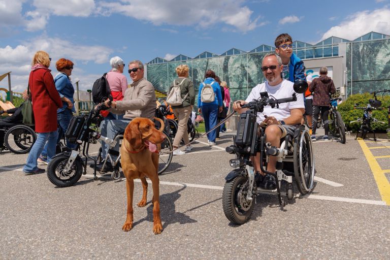 3-paws-tour, tradicionalna-voznja-z-invalidskimi-vozicki