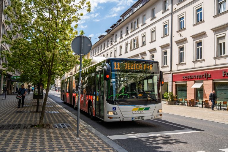 bus.jpg