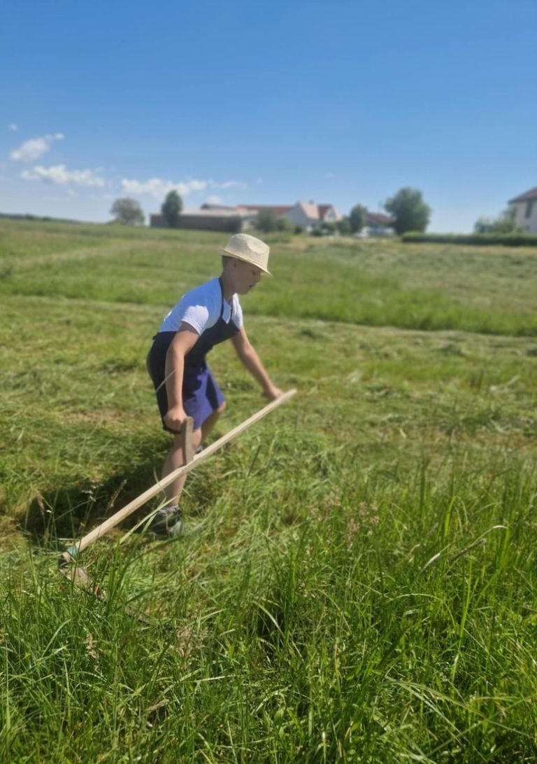 vogricevci, tekmovanje, kosnja-trave