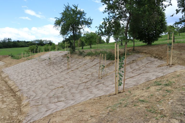 obcina-salovci, sportni-center, medovite-rastline