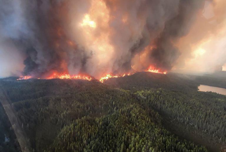 gozd gozdni požar