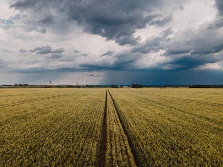 simbolična, dron, murska-sobota, polje, pšenica, oblaki, oblačno, nevihta, neurje, toča