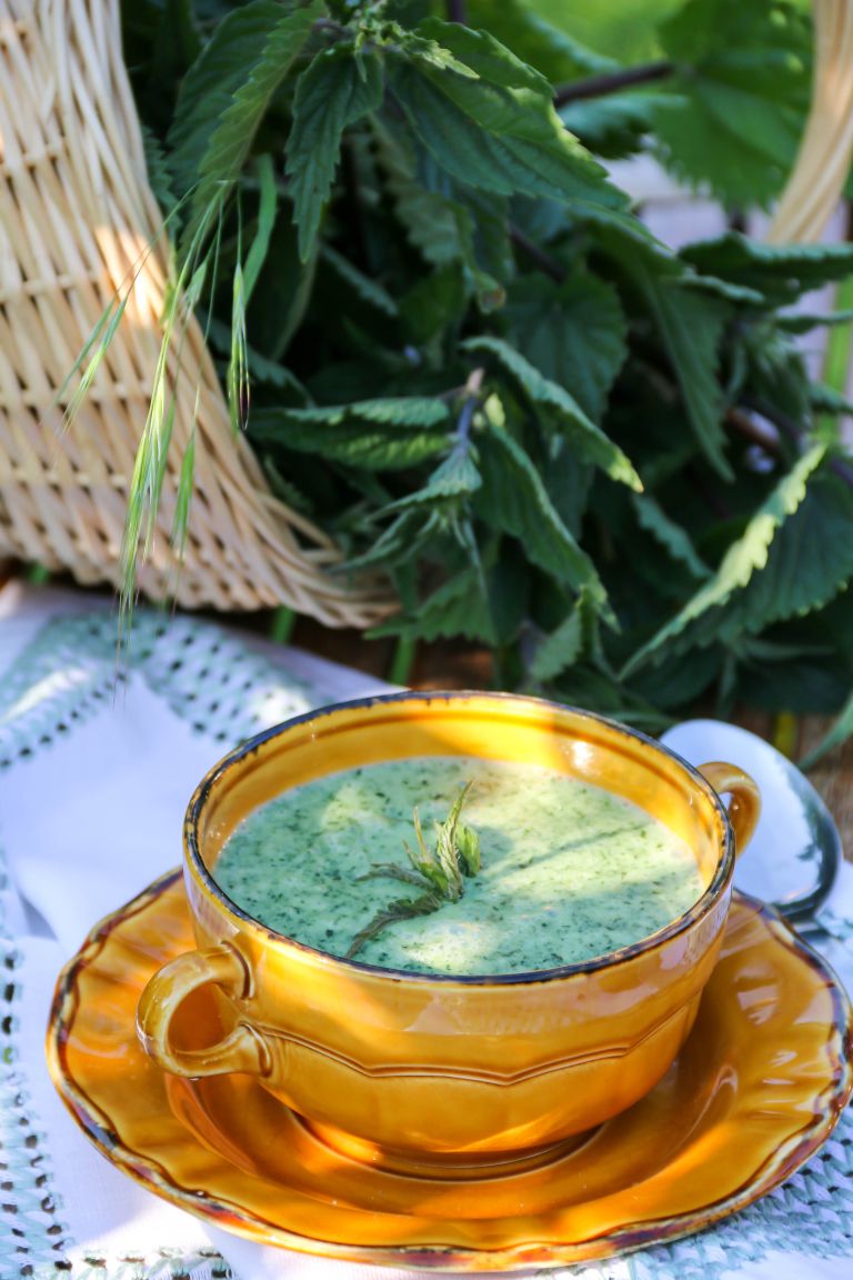 divji-jedilnik